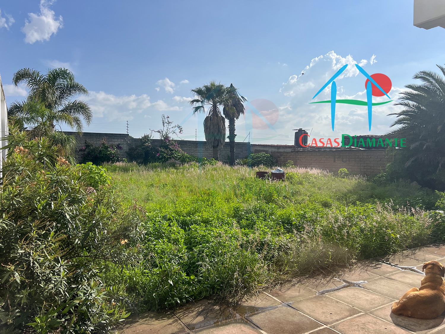 San Antonio Cacalotepec Casa Lucas - Jardín 2